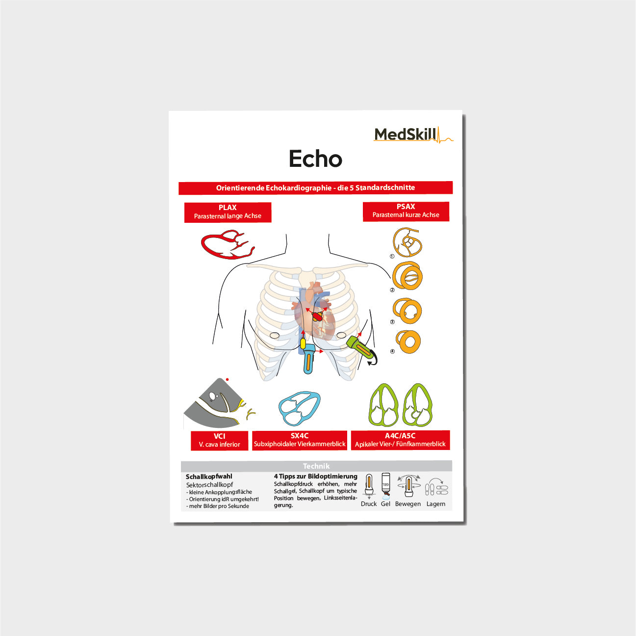 Echo Taschenkarte