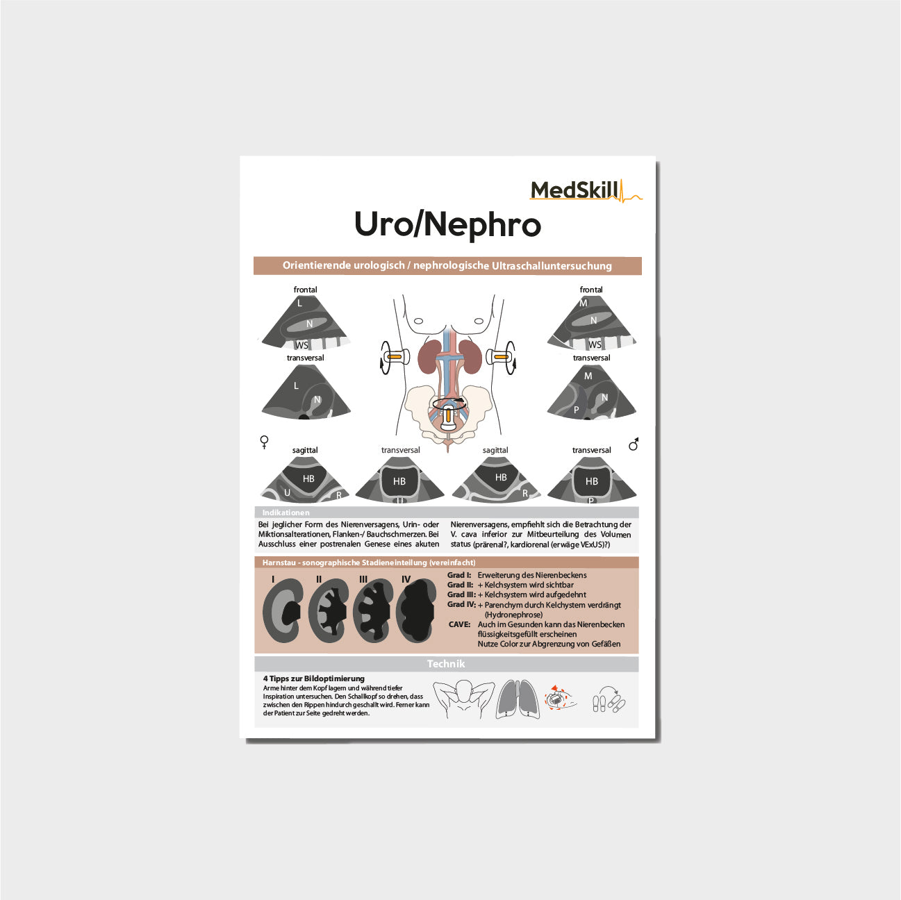 Urologie Taschenkarte