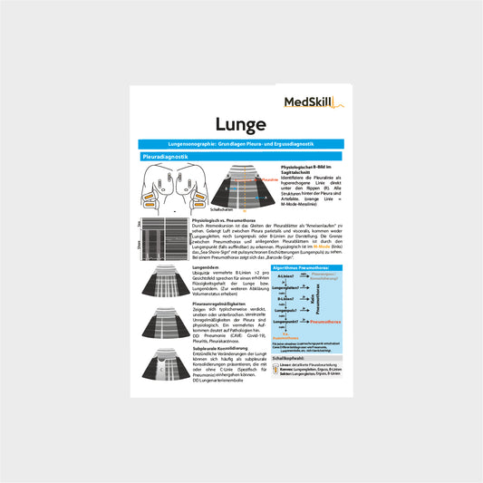 Lungensonographie Taschenkarte